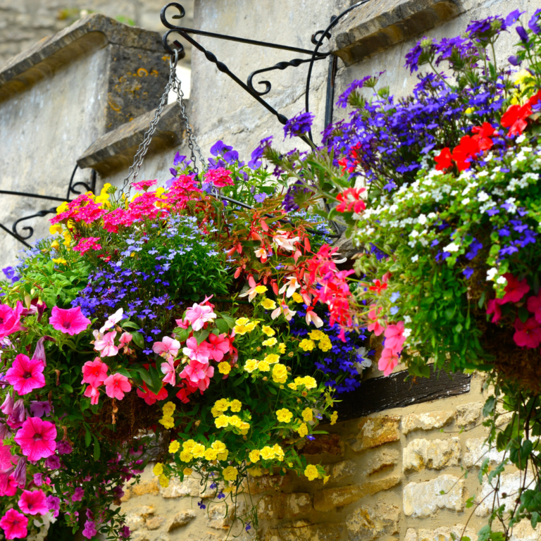 Top 5 Spring Hanging Baskets Wildwood Outdoor Living Centre