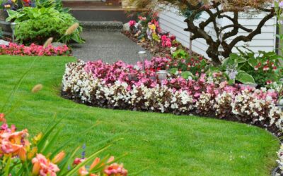 2023 June Gardening Tips