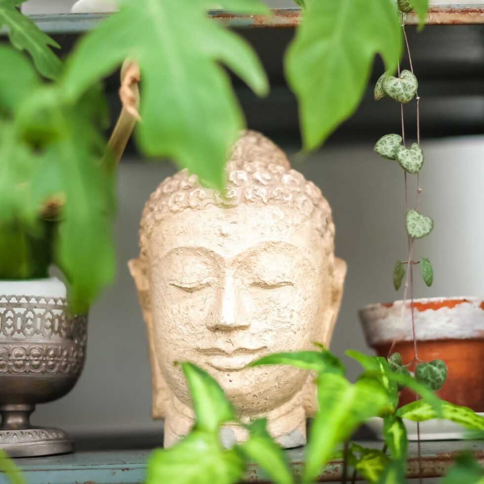 Bringing Houseplants Outside Wildwood Outdoor Living Centre