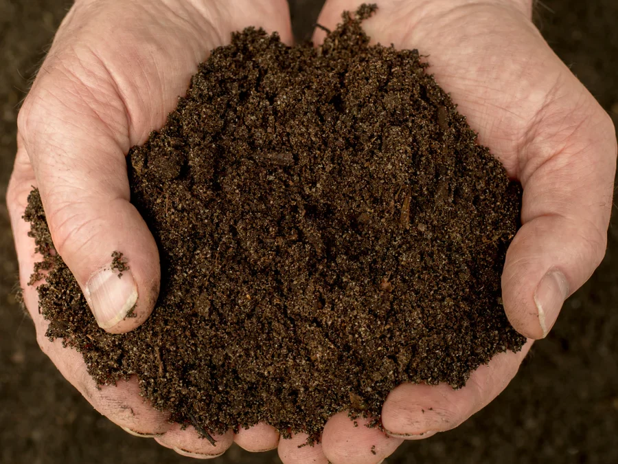 Top 5 Reasons to Compost