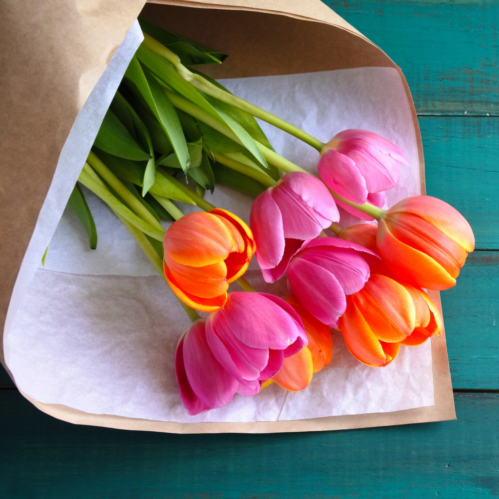 Tulips wrapped in paper