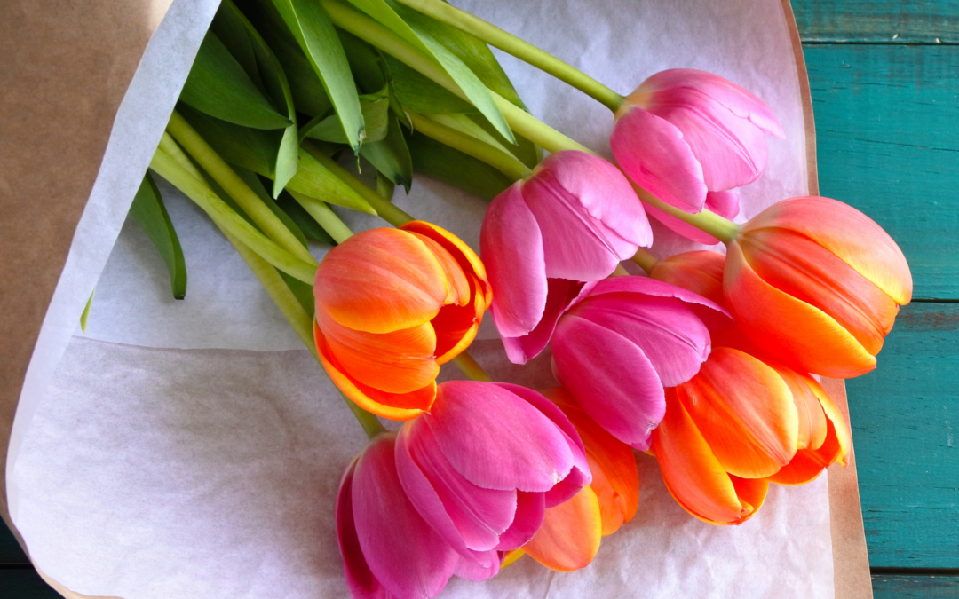 Tulips wrapped in paper